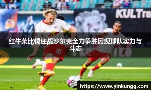 BoB半岛·体育中国官方网站